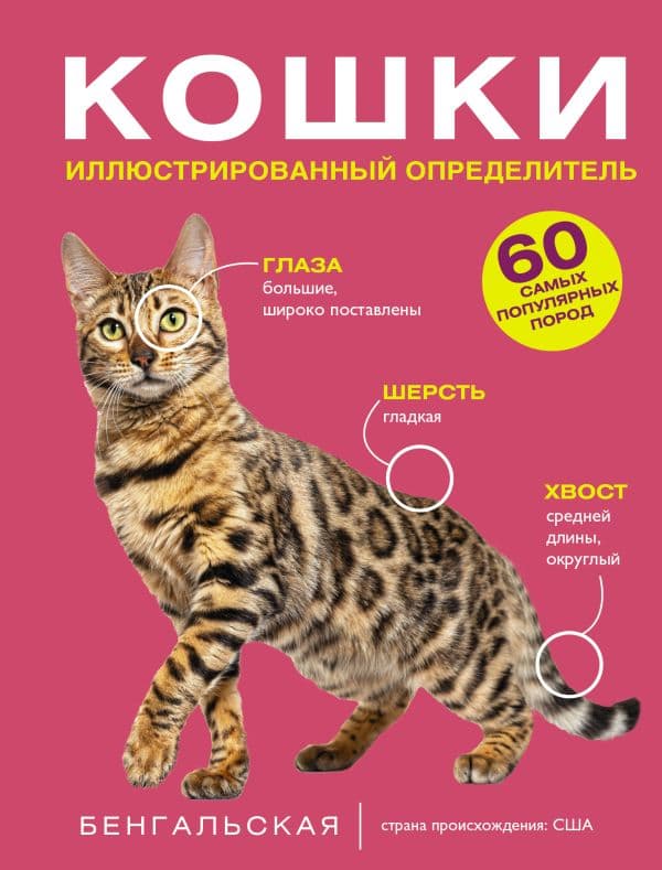 Обложка книги Кошки. 60 самых популярных пород. Иллюстрированный определитель — Смирнов Д.С., Спектор А.А.