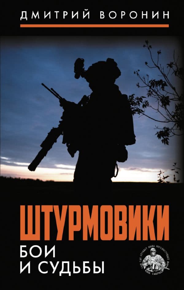 Обложка книги Штурмовики. Бои и судьбы — Воронин Д.