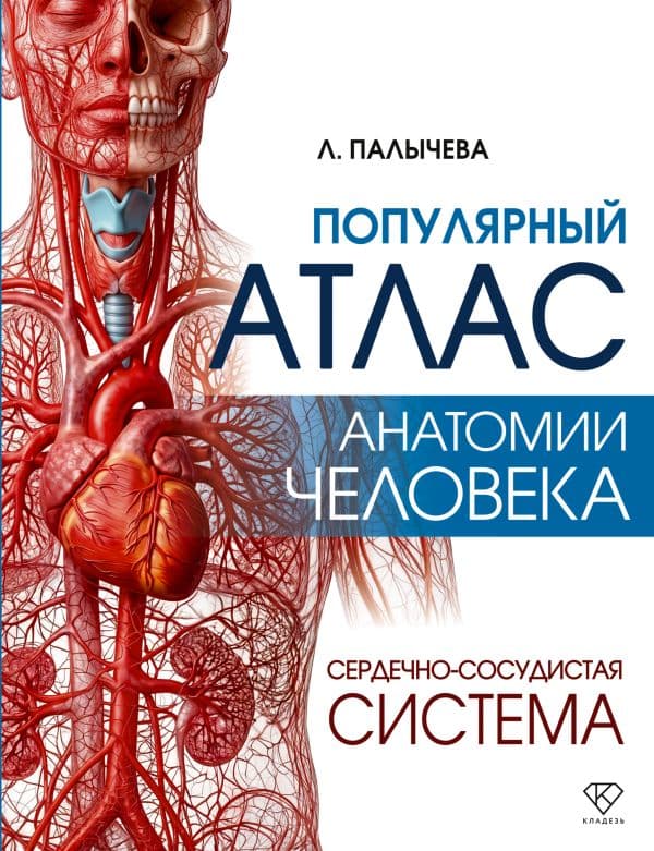 Обложка книги Популярный атлас анатомии человека. Сердечно-сосудистая система — Палычева Л.Н.