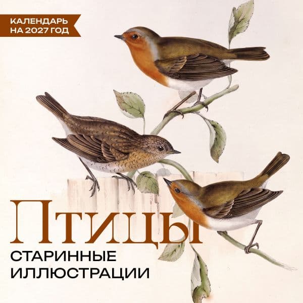 Обложка книги Птицы. Старинные иллюстрации. Календарь на 2027 год — .