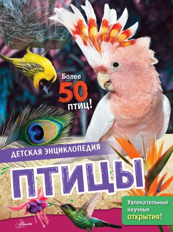 Птицы