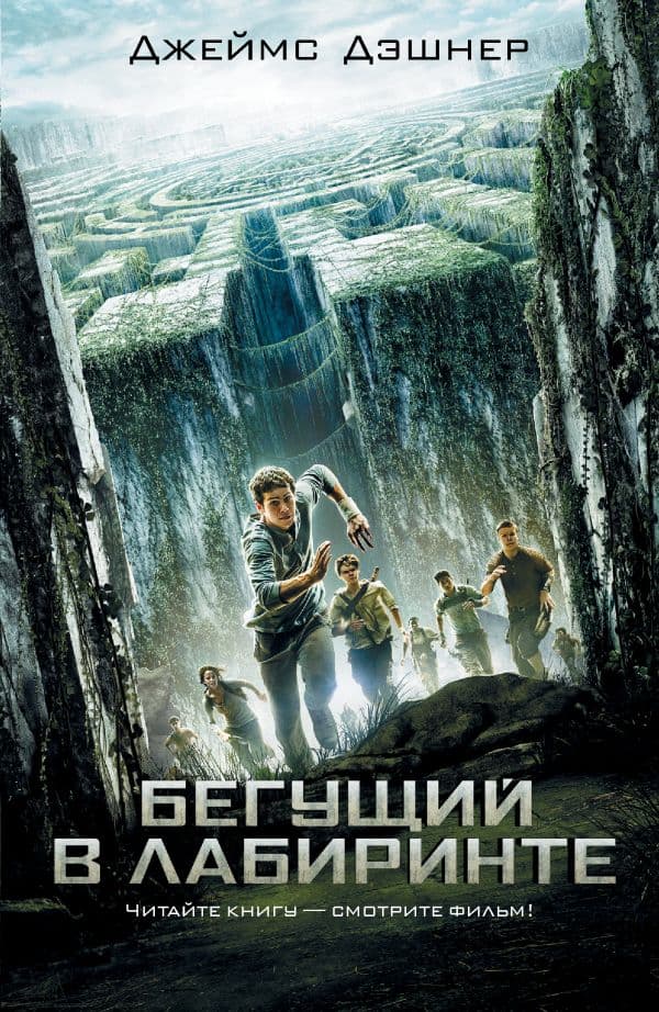 Обложка книги Бегущий в Лабиринте — Дэшнер Д.