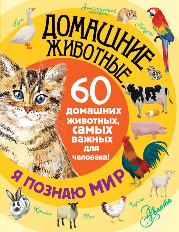 Обложка книги Домашние животные — .