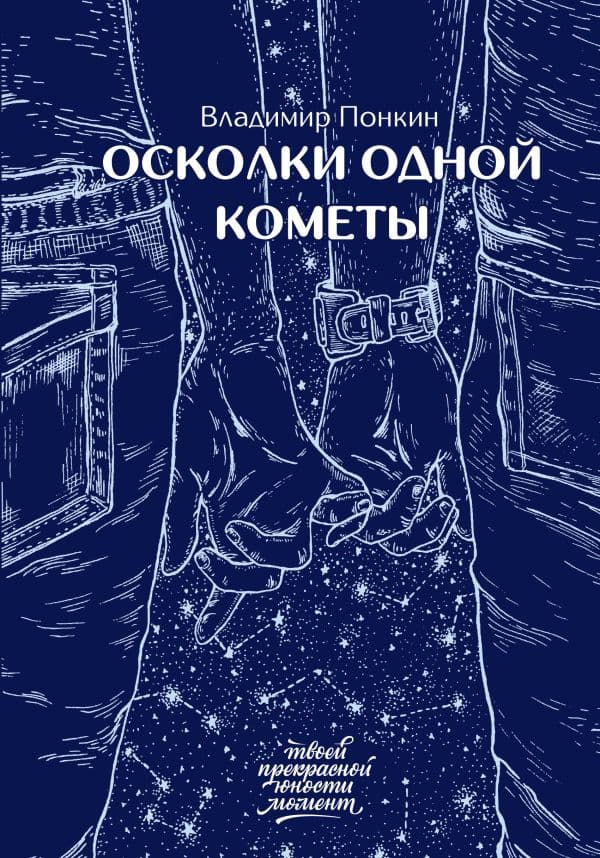 Обложка книги Осколки одной кометы — Понкин В.О.