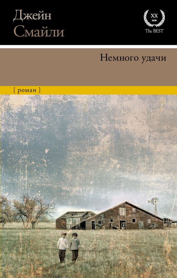 Обложка книги Немного удачи — Смайли Д.