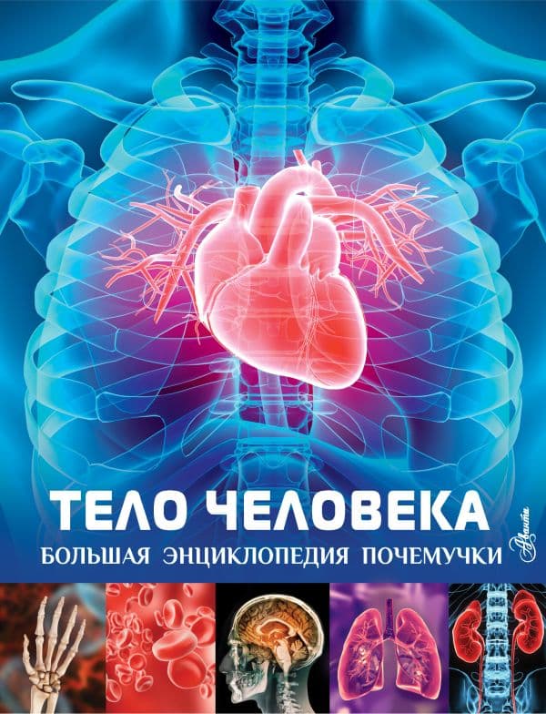Обложка книги Тело человека — Хибберт К.