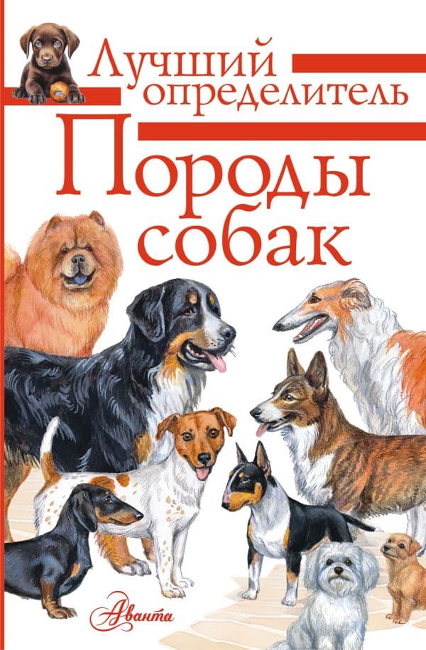 Обложка книги Породы собак. Определитель — Михальская А.К.