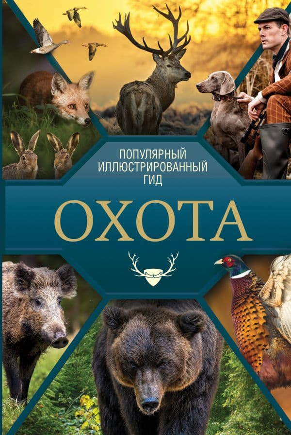 Обложка книги Охота. Популярный иллюстрированный гид — .