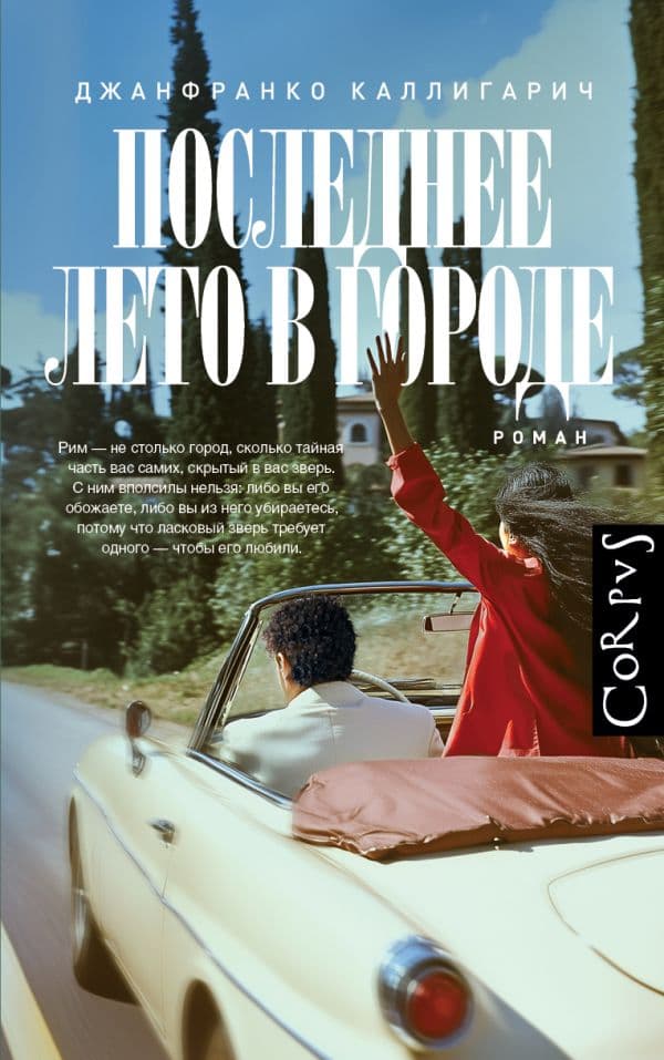 Обложка книги Последнее лето в городе — Каллигарич Д.