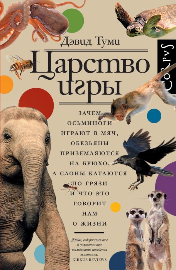 Обложка книги Царство игры — Туми Д.
