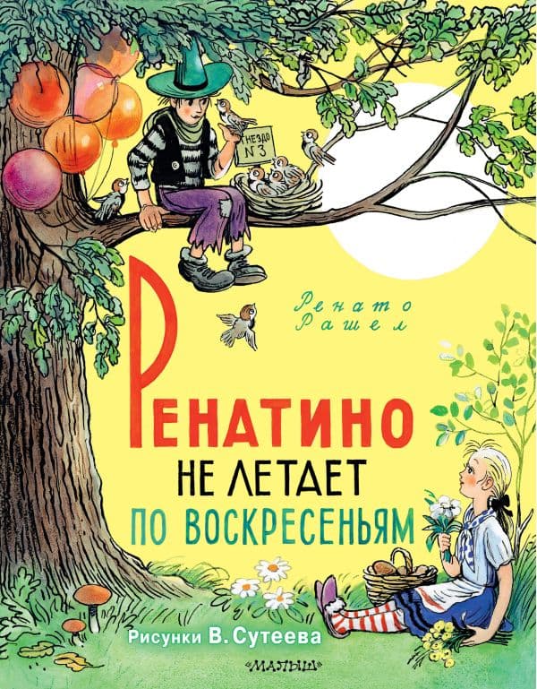 Обложка книги Ренатино не летает по воскресеньям — Рашел Р.