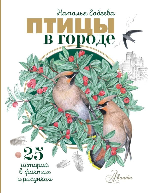 Обложка книги Птицы в городе. 25 историй в фактах и рисунках — Габеева Н.М.