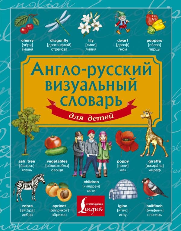 Обложка книги Англо-русский визуальный словарь для детей — .